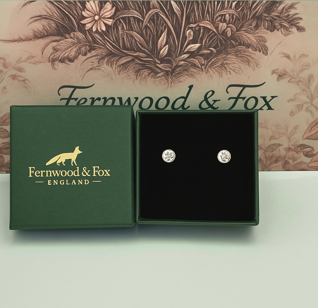 Fernwood & Fox Silver Birthstone Earrings